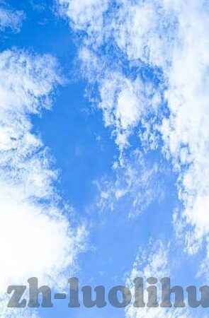 麻豆传媒是什么-麻豆传媒，数字媒体新时代的网络奇景