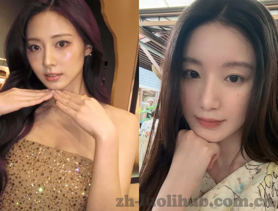 芒果大象传媒一二三-芒果、大象与传媒的奇妙交织，一二三的创意融合