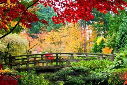 婷婷色香五月中文字幕-婷婷色香，五月中文字幕的诗意画卷