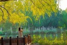 在线伦理小说-探索在线伦理小说的新维度，虚拟世界中的道德试炼场